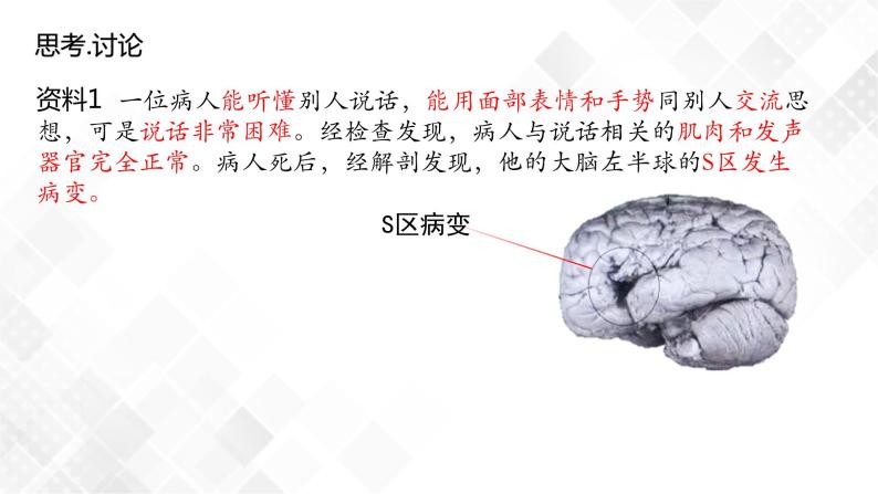 2.5 人脑的高级功能-高中生物 课件+练习（人教版2019 选择性必修1）08