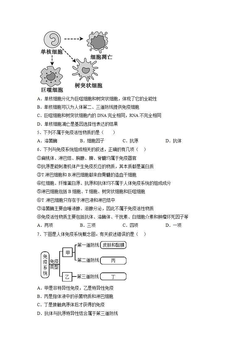 4.1 免疫系统的组成和功能(练习题)第2页