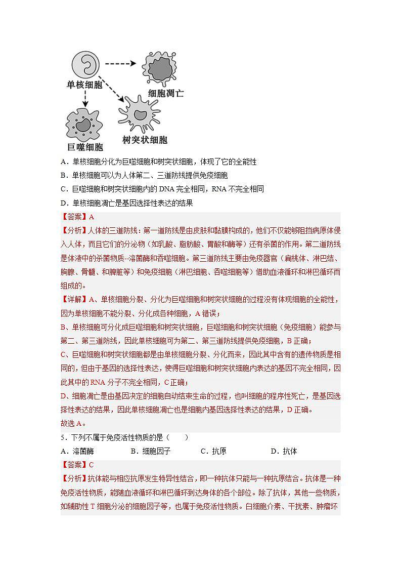 4.1 免疫系统的组成和功能(练习题)(含答案解析)第3页