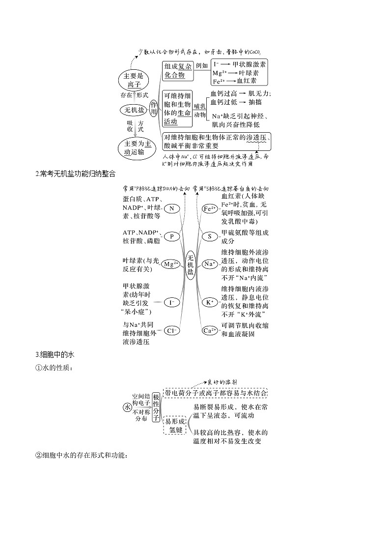 【备战2023高考】生物专题讲与练——考向01《组成细胞的分子》全能练(全国通用)(原卷版)第2页