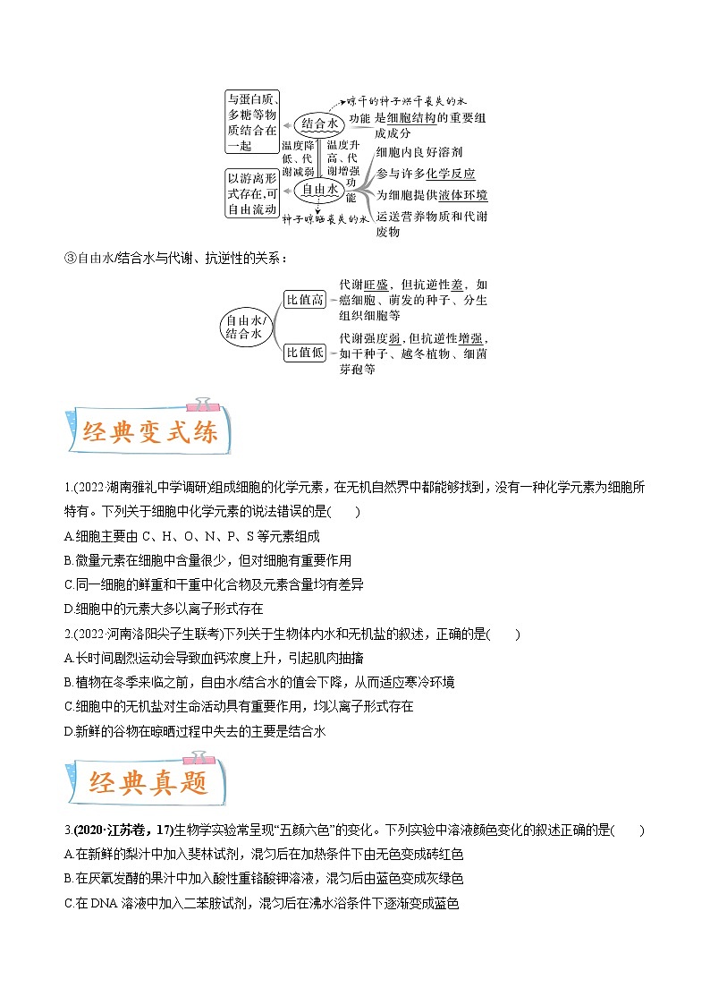 【备战2023高考】生物专题讲与练——考向01《组成细胞的分子》全能练(全国通用)(原卷版)第3页
