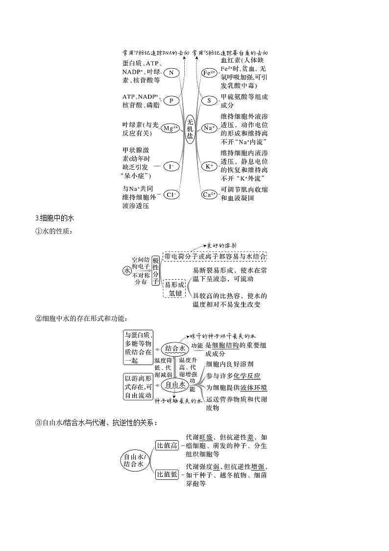 【备战2023高考】生物专题讲与练——考向01《组成细胞的分子》全能练(全国通用)(解析版)第3页