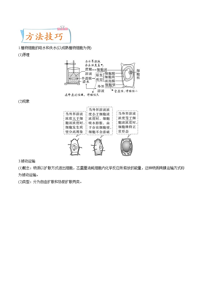【备战2023高考】生物专题讲与练——考向03《细胞内物质输入和输出》全能练(全国通用)(解析版)第2页