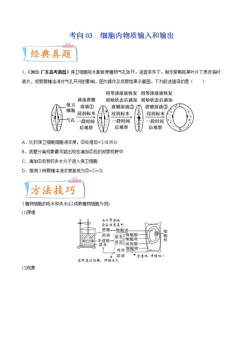 【备战2023高考】生物专题讲与练——考向03《细胞内物质输入和输出》全能练(全国通用)(原卷版)第1页