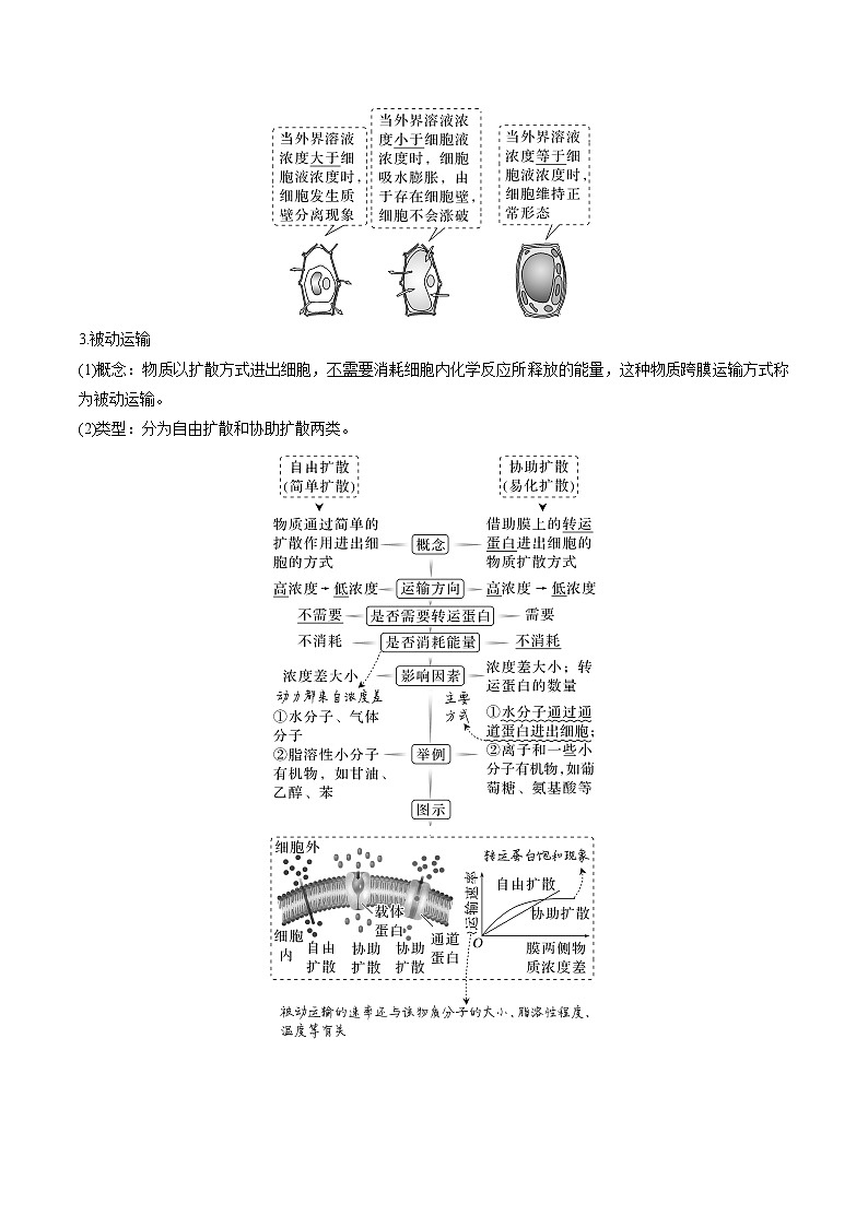 【备战2023高考】生物专题讲与练——考向03《细胞内物质输入和输出》全能练(全国通用)(原卷版)第2页
