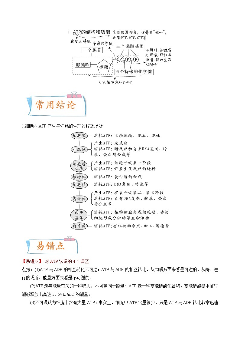 【备战2023高考】生物专题讲与练——考向04《ATP和酶》全能练(全国通用)(解析版)第2页