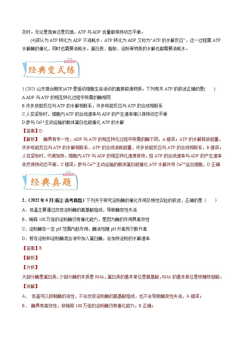 【备战2023高考】生物专题讲与练——考向04《ATP和酶》全能练(全国通用)(解析版)第3页