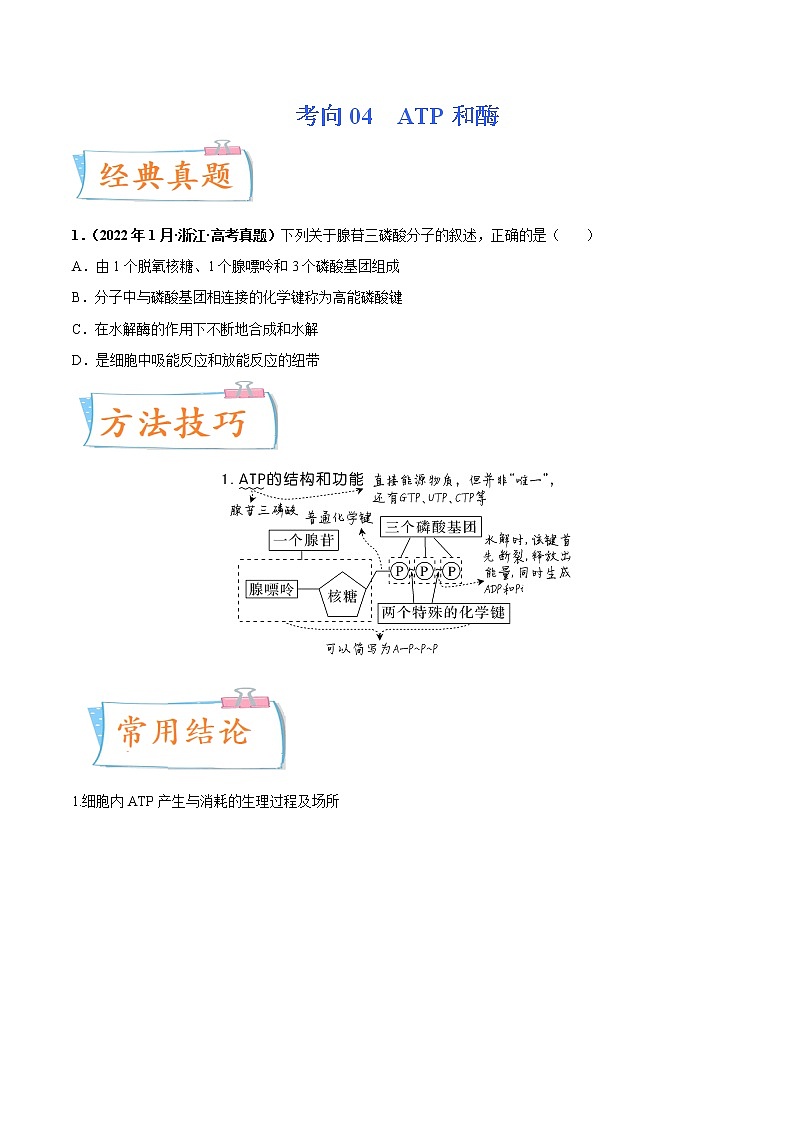 【备战2023高考】生物专题讲与练——考向04《ATP和酶》全能练(全国通用)(原卷版)第1页