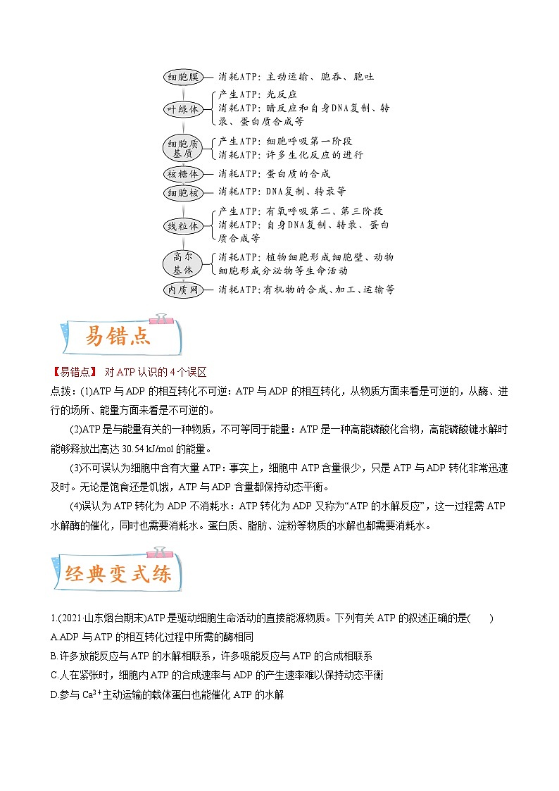 【备战2023高考】生物专题讲与练——考向04《ATP和酶》全能练(全国通用)(原卷版)第2页