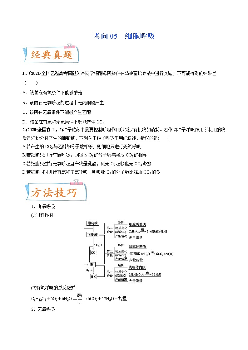 【备战2023高考】生物专题讲与练——考向05《细胞呼吸》全能练(含解析)(全国通用)01