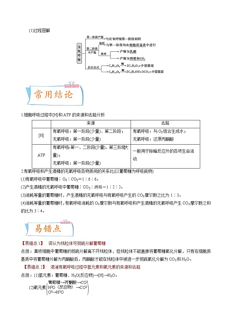 【备战2023高考】生物专题讲与练——考向05《细胞呼吸》全能练(含解析)(全国通用)02