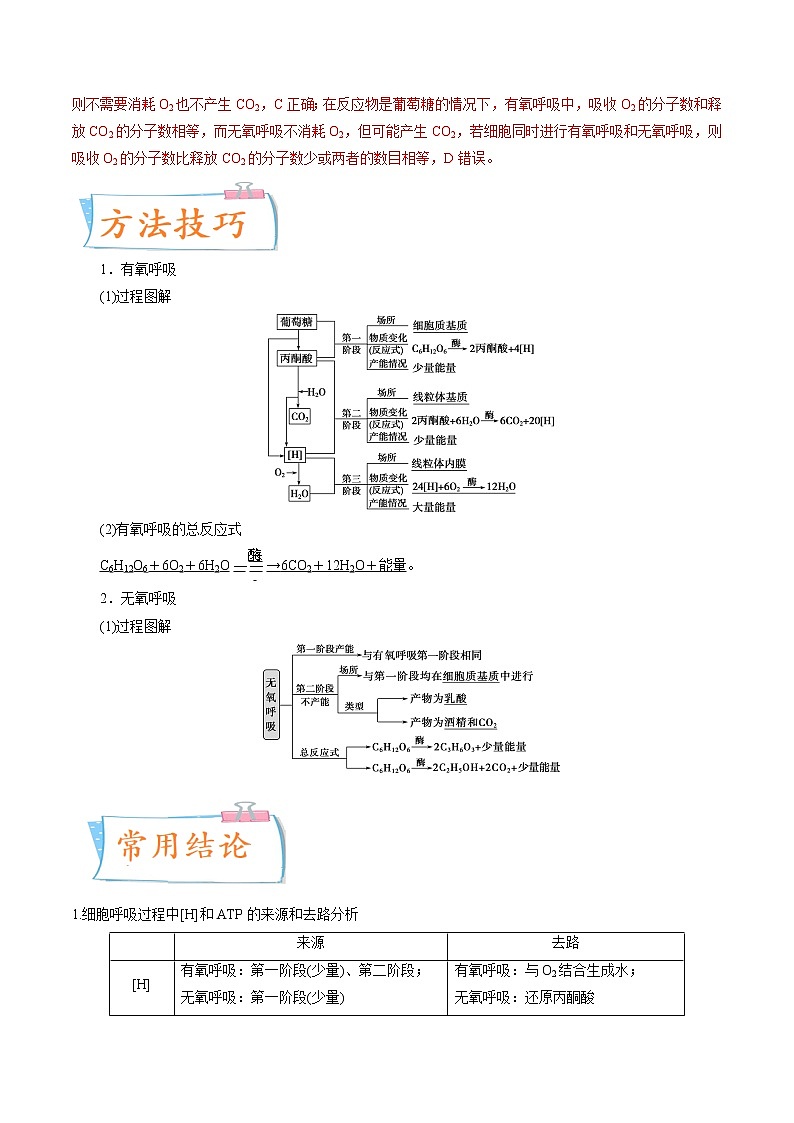 【备战2023高考】生物专题讲与练——考向05《细胞呼吸》全能练(含解析)(全国通用)02