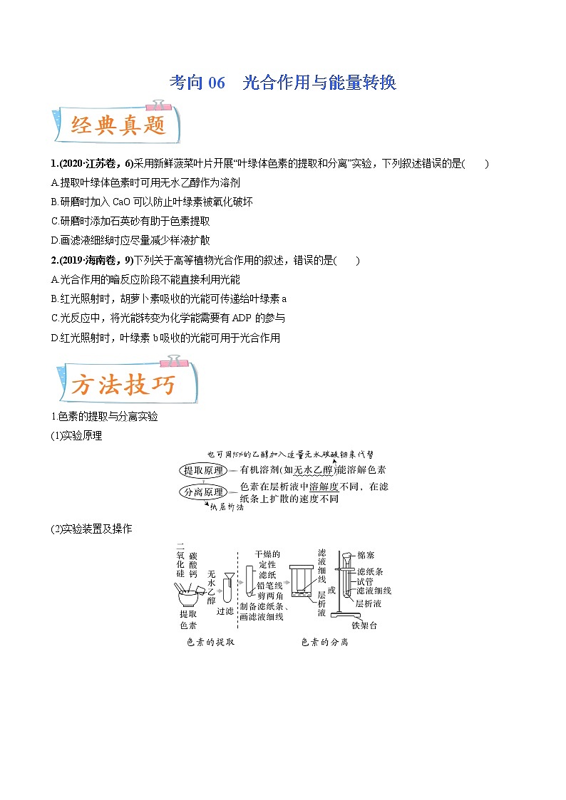 【备战2023高考】生物专题讲与练——考向06《光合作用与能量转换》全能练(全国通用)(原卷版)第1页