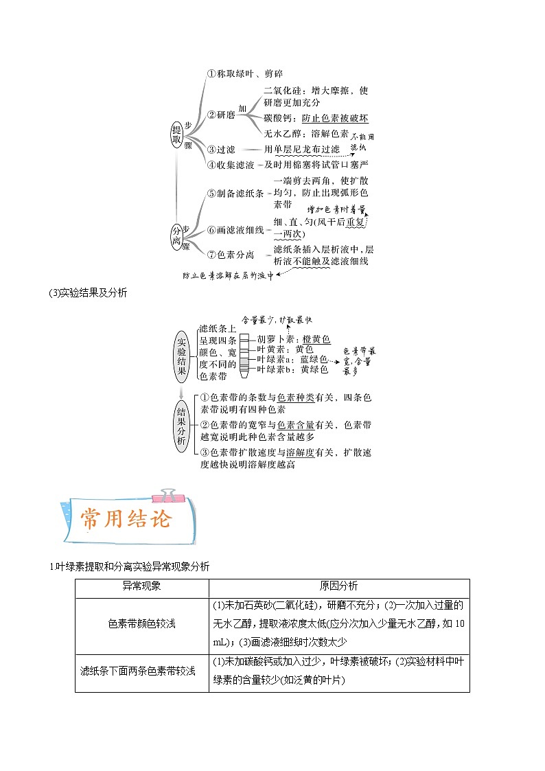 【备战2023高考】生物专题讲与练——考向06《光合作用与能量转换》全能练(全国通用)(原卷版)第2页
