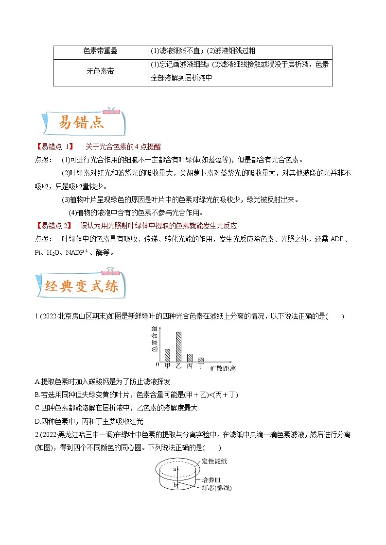 【备战2023高考】生物专题讲与练——考向06《光合作用与能量转换》全能练(全国通用)(原卷版)第3页
