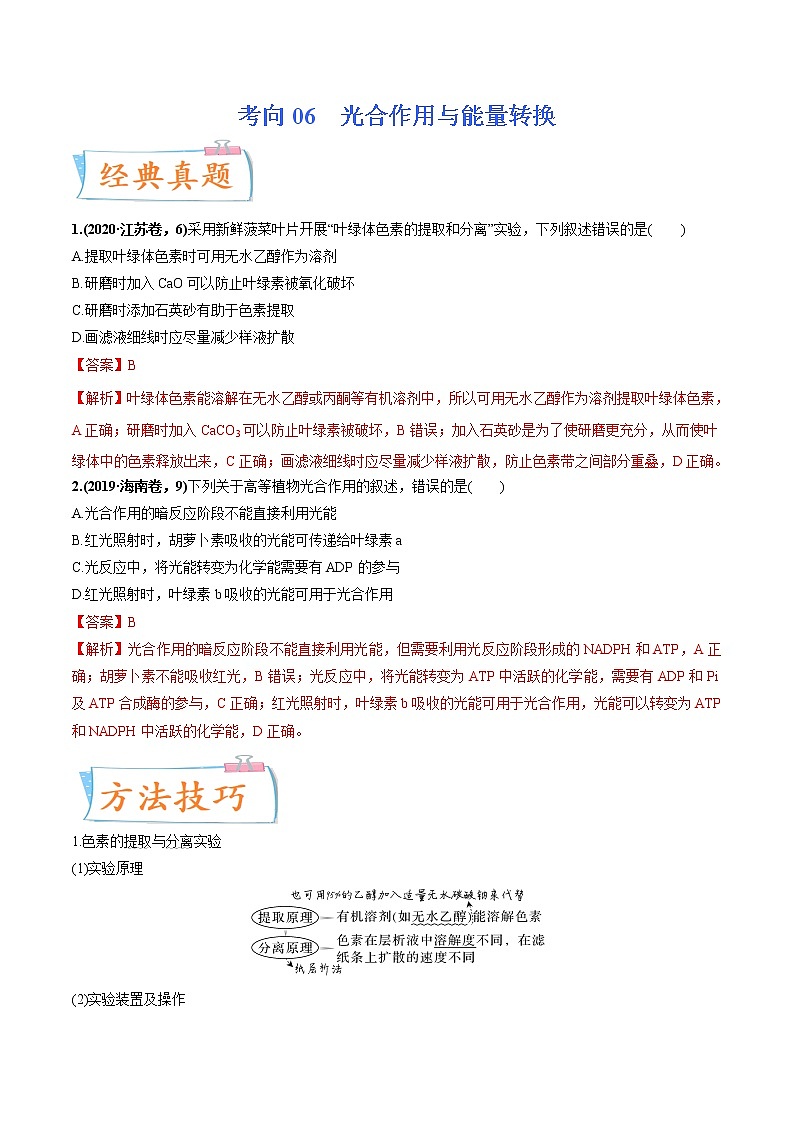 【备战2023高考】生物专题讲与练——考向06《光合作用与能量转换》全能练(全国通用)(解析版)第1页