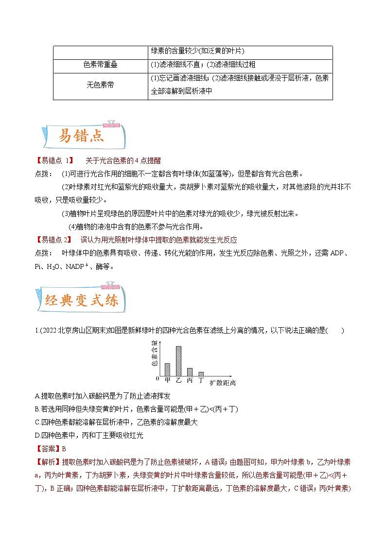 【备战2023高考】生物专题讲与练——考向06《光合作用与能量转换》全能练(全国通用)(解析版)第3页
