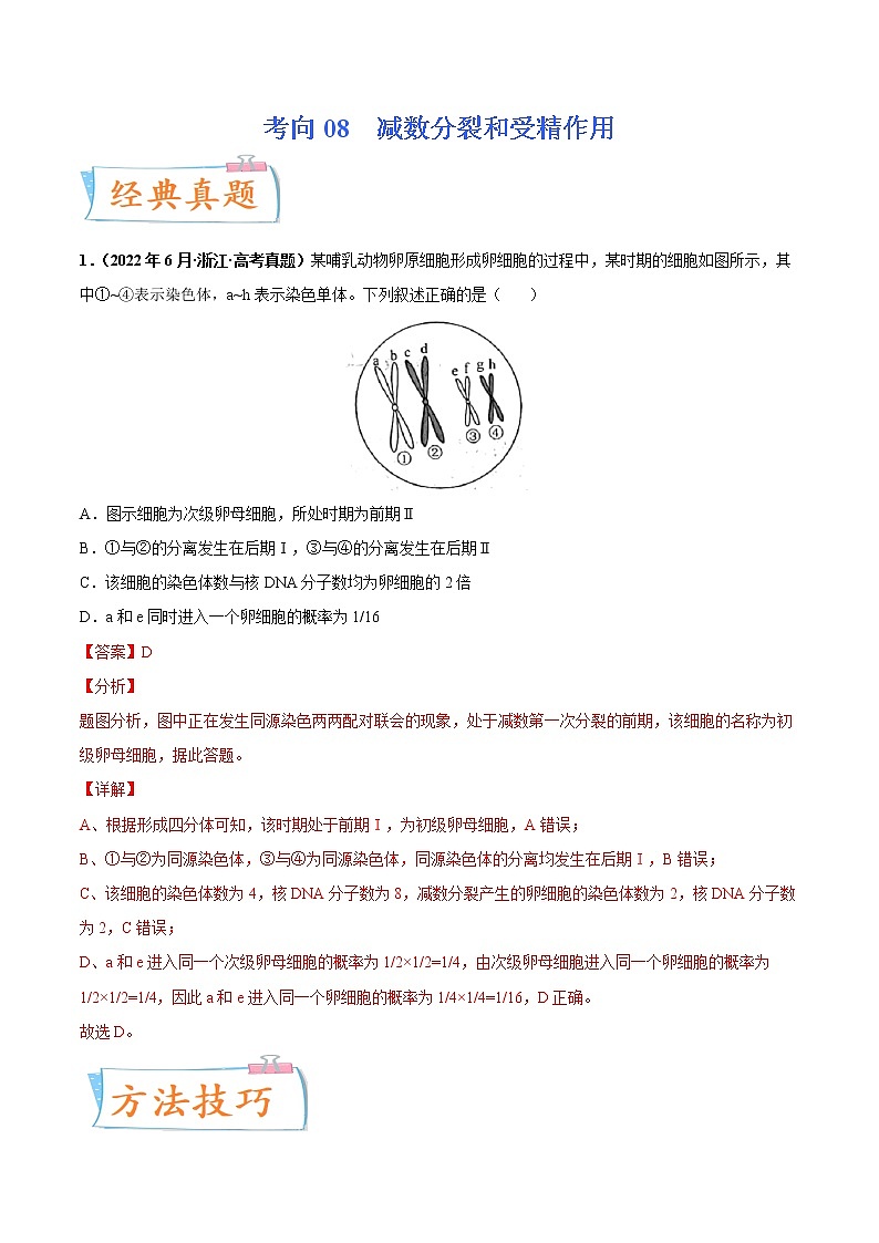 【备战2023高考】生物专题讲与练——考向08《减数分裂和受精作用》全能练(全国通用)(解析版)第1页