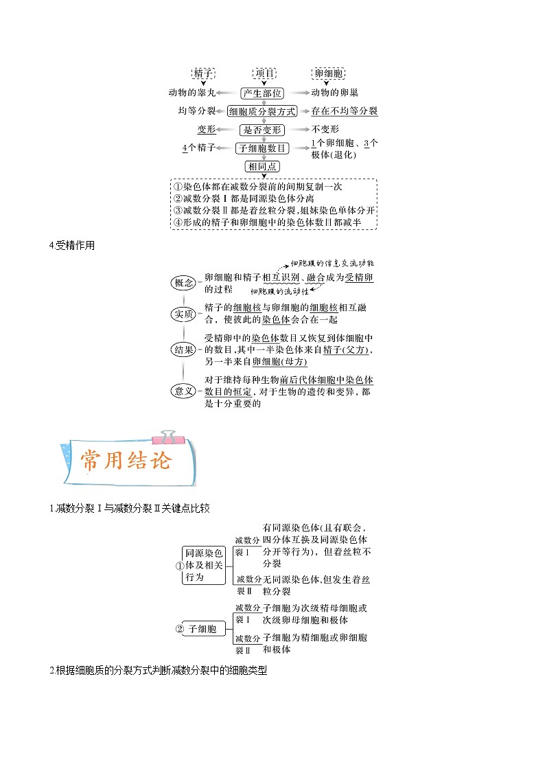 【备战2023高考】生物专题讲与练——考向08《减数分裂和受精作用》全能练(全国通用)(解析版)第3页