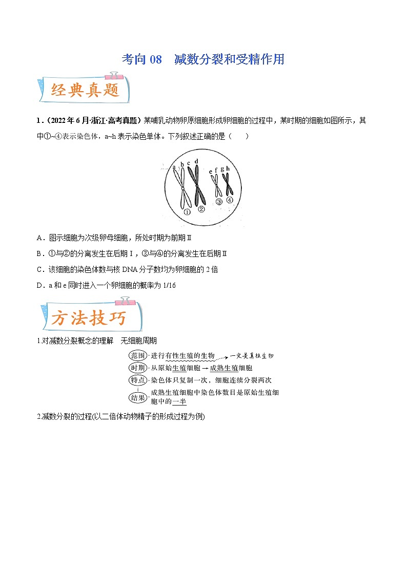 【备战2023高考】生物专题讲与练——考向08《减数分裂和受精作用》全能练(全国通用)(原卷版)第1页