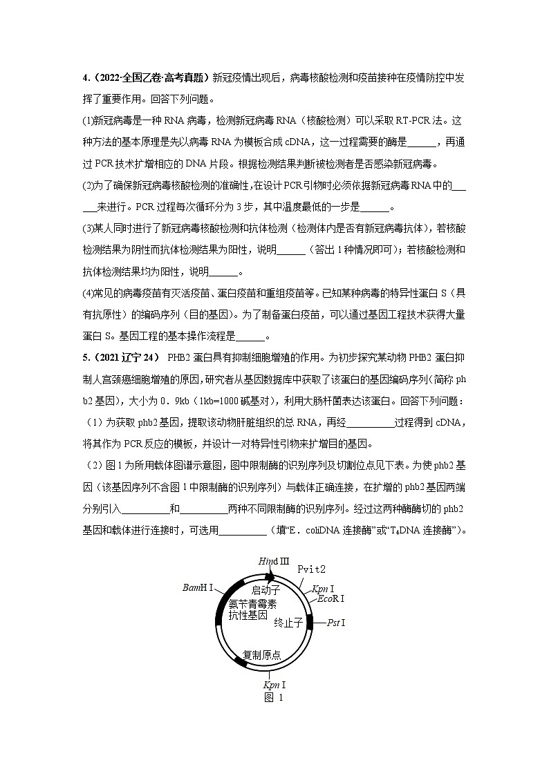 【备战2023高考】生物专题讲与练——考向28《基因工程及生物技术安全性与伦理问题》全能练(全国通用)(原卷版)第2页