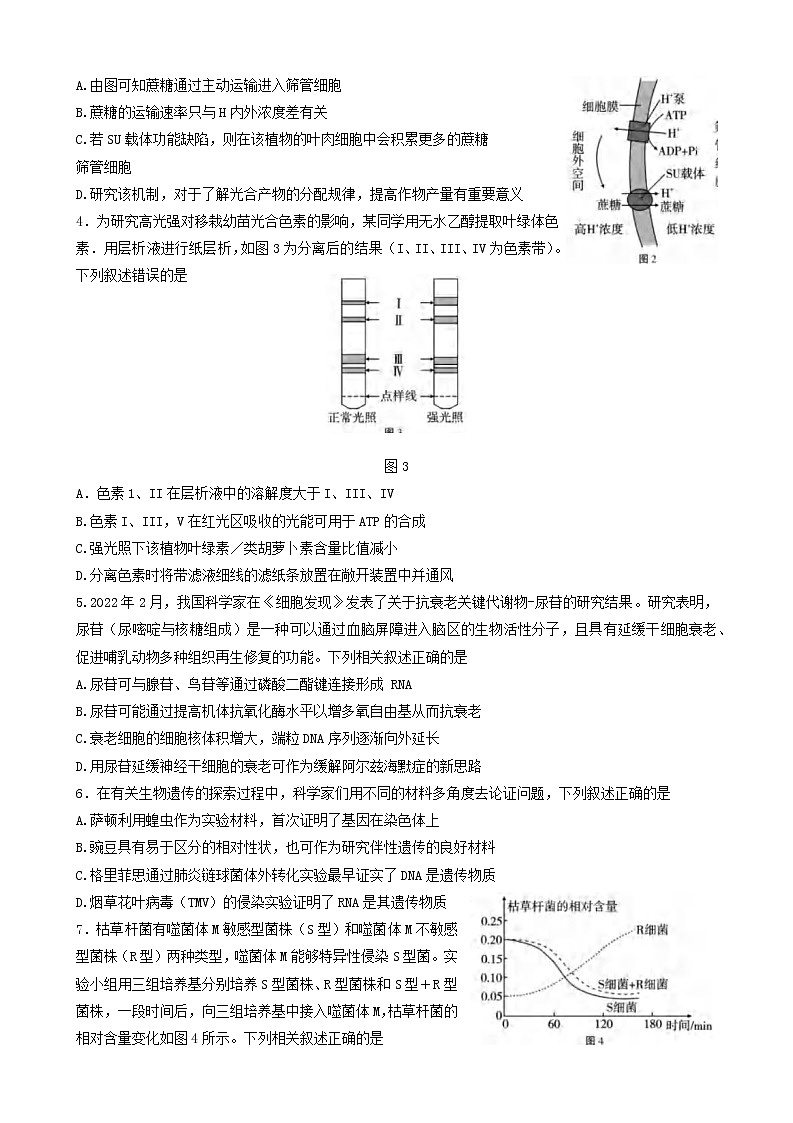 2023重慶市八中高三上學(xué)期高考適應(yīng)性月考卷（三）生物試題含答案第2頁