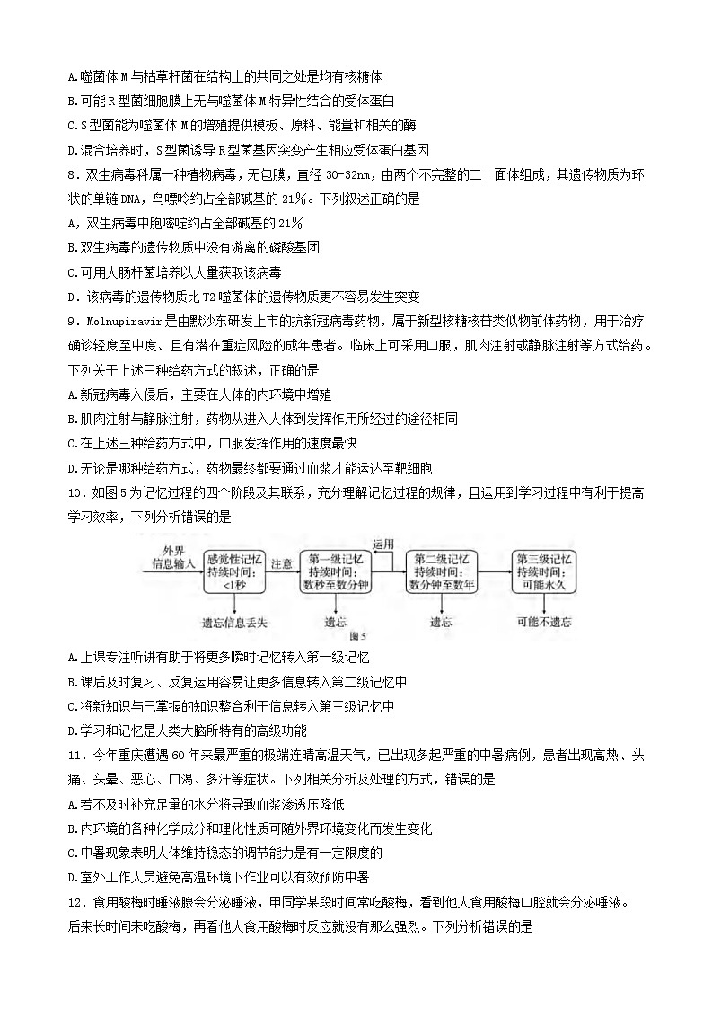 2023重慶市八中高三上學(xué)期高考適應(yīng)性月考卷（三）生物試題含答案第3頁