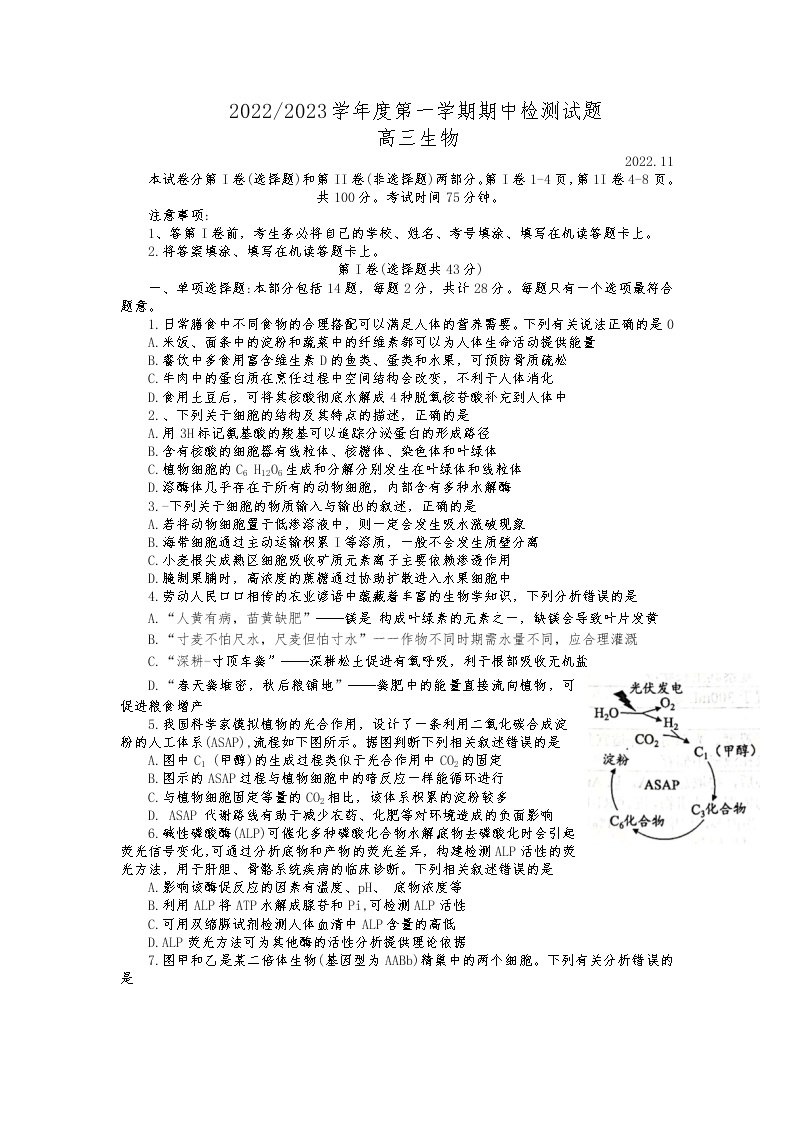 江苏省扬州中学2022-2023学年高三上学期期中考试生物试卷Word版含答案01