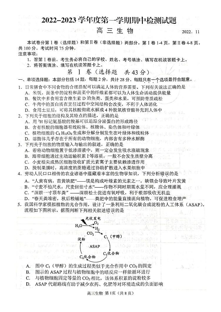 江苏省扬州中学2022-2023学年高三上学期期中考试生物试卷Word版含答案01