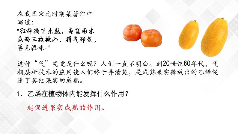 5.2 其他植物激素-高中生物 课件+练习(人教版2019 选择性必修1)05