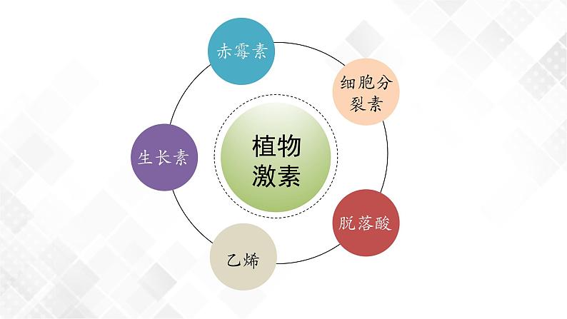5.2 其他植物激素-高中生物 课件+练习(人教版2019 选择性必修1)07