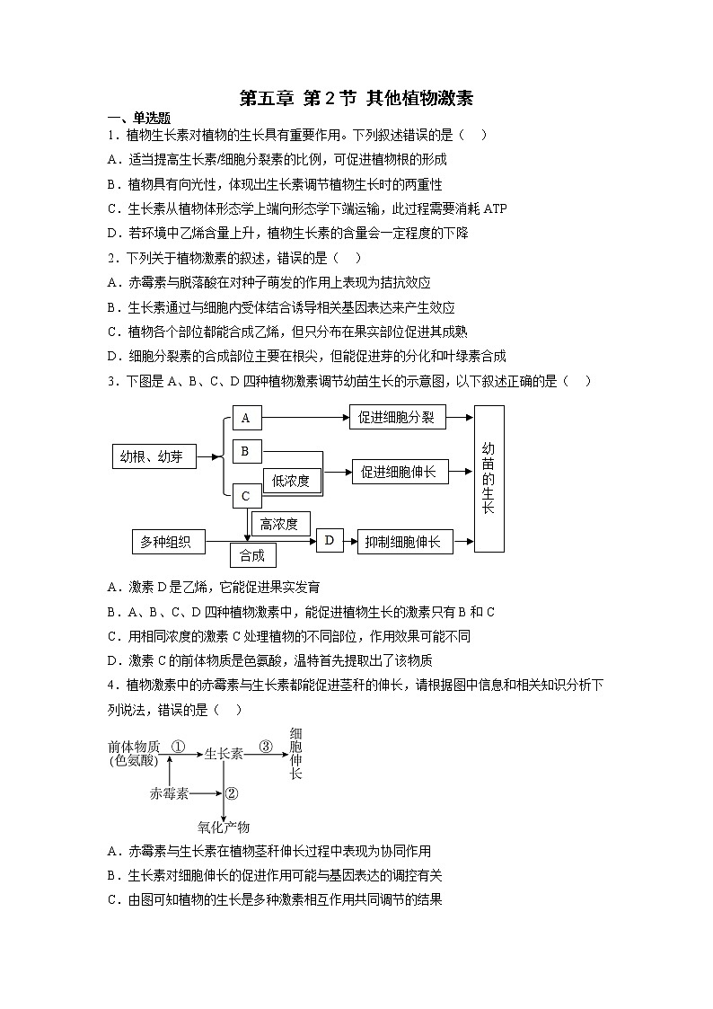 5.2 其他植物激素-高中生物 课件+练习(人教版2019 选择性必修1)01