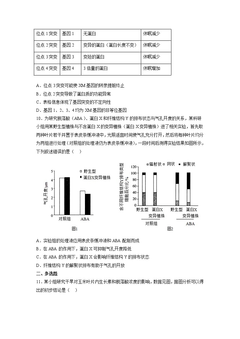 5.2 其他植物激素-高中生物 课件+练习(人教版2019 选择性必修1)03