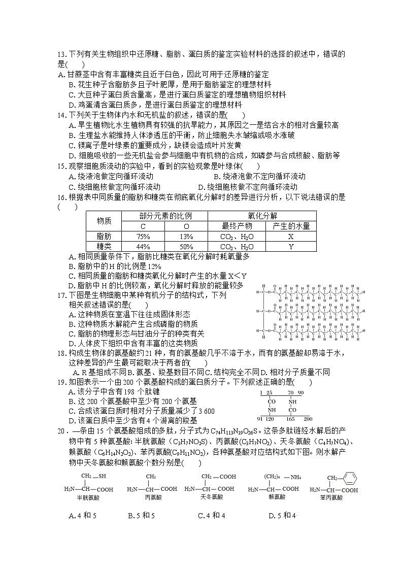 安徽师范大学附属中学2022-2023学年高一生物上学期期中考试题(Word版附答案)03
