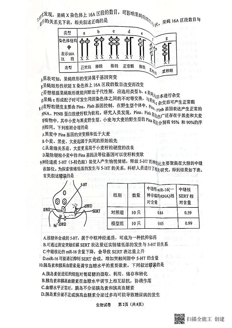 江苏省苏北四市2023届高三生物上学期期中抽测试卷(PDF附答案)第2页