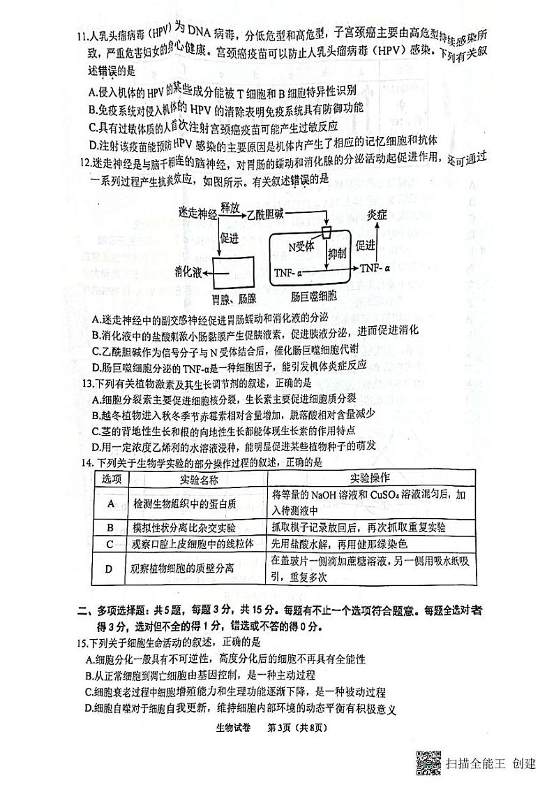 江苏省苏北四市2023届高三生物上学期期中抽测试卷(PDF附答案)第3页