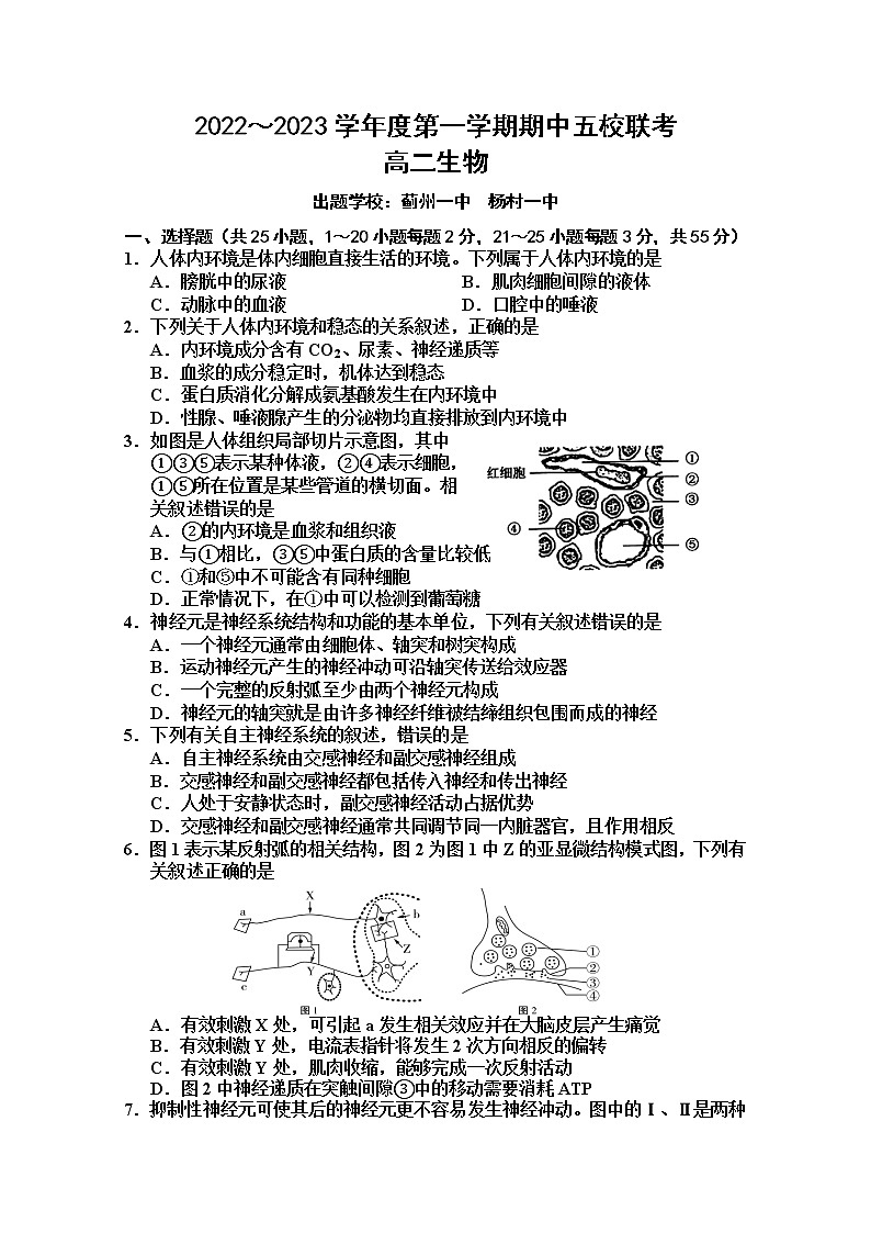 天津市五校2022-2023学年高二生物上学期期中试卷(Word版附答案)第1页