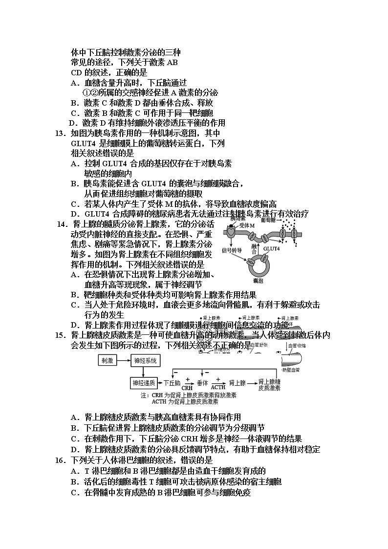 天津市五校2022-2023学年高二生物上学期期中试卷(Word版附答案)第3页