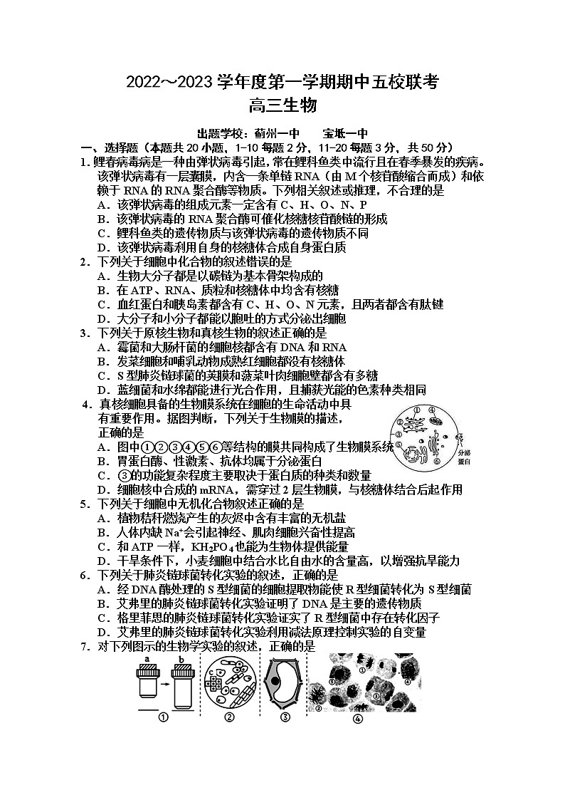 天津市五校2022-2023学年高三生物上学期期中联考试题(Word版附答案)01