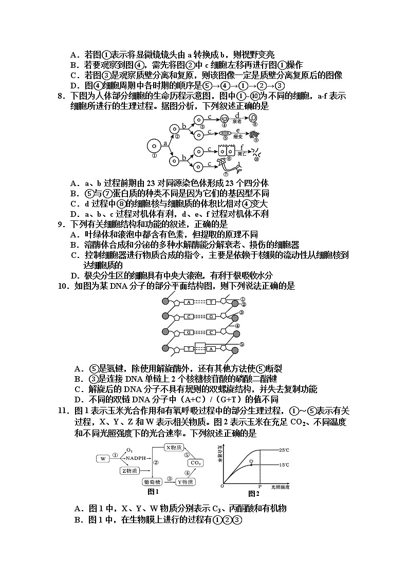天津市五校2022-2023学年高三生物上学期期中联考试题(Word版附答案)02