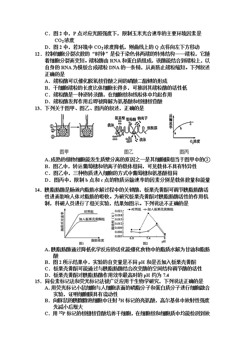 天津市五校2022-2023学年高三生物上学期期中联考试题(Word版附答案)03