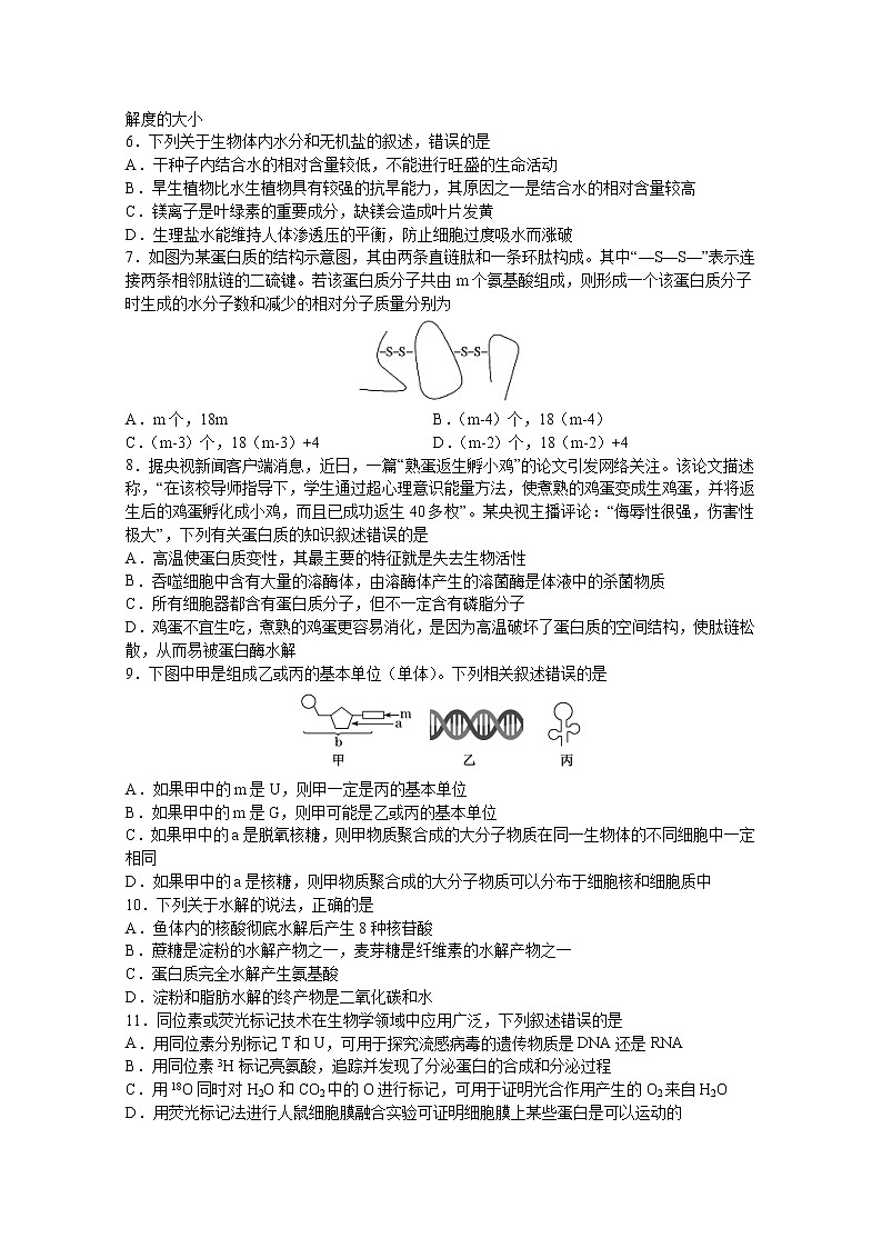 甘肃省兰州第一中学2022-2023学年高三上学期期中考试生物试题(Word版附答案)第2页