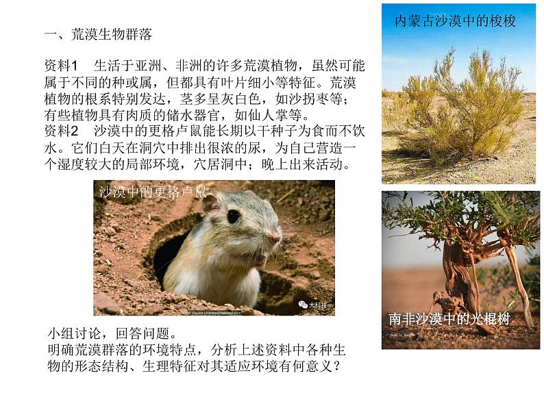 高中生物选择性必修二 2.2 群落的主要类型 课件第3页