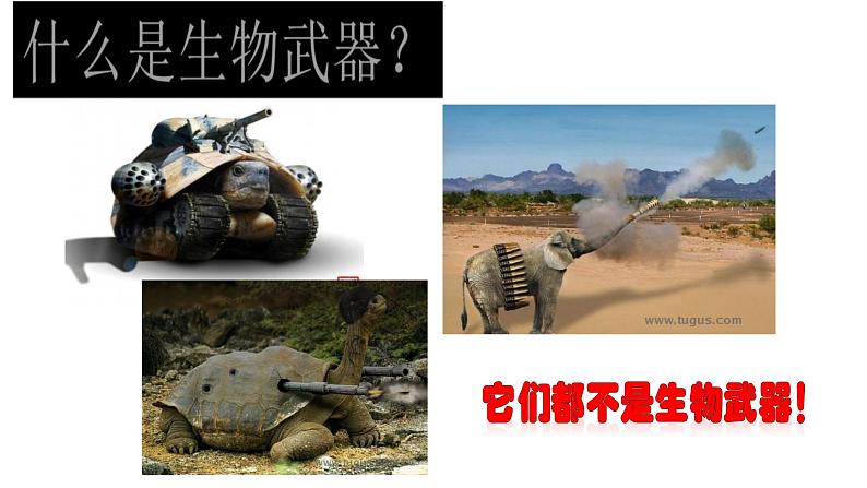 高中生物选择性必修三 4.3禁止生物武器 课件第5页