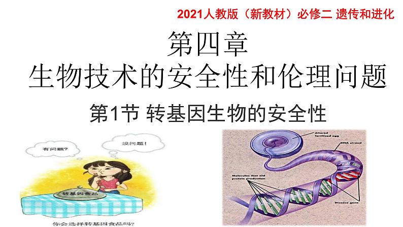 高中生物选择性必修三 4.1转基因产品的安全性 课件第3页