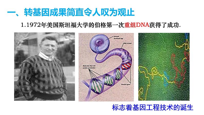 高中生物选择性必修三 4.1转基因产品的安全性 课件第6页