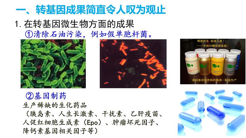 高中生物选择性必修三 4.1转基因产品的安全性 课件第8页