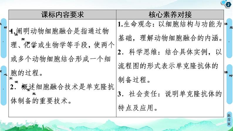 高中生物选择性必修三 第2章 第2节 第2课时 动物细胞融合技术与单克隆抗体 课件第2页
