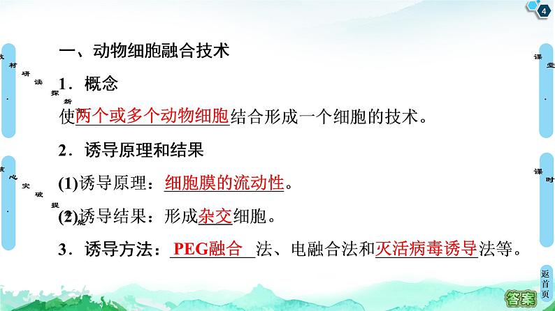高中生物选择性必修三 第2章 第2节 第2课时 动物细胞融合技术与单克隆抗体 课件第4页