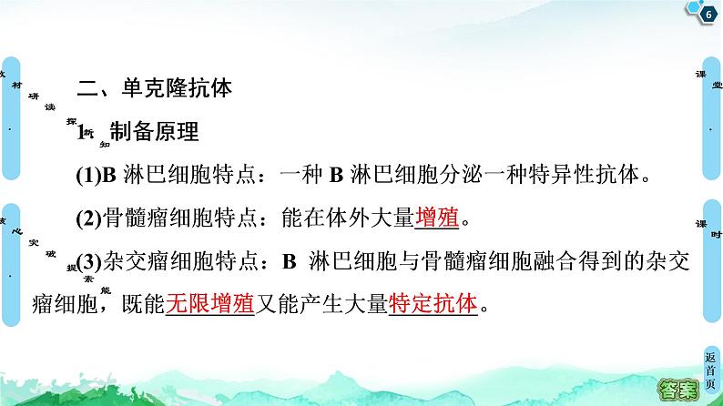 高中生物选择性必修三 第2章 第2节 第2课时 动物细胞融合技术与单克隆抗体 课件第6页
